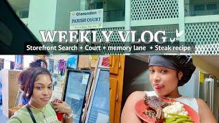 Weekly Vlog: Steak Night, Storefront Browsing & A Traffic Court Adventure !