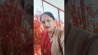 Man leke aaya Mata Rani ke Bhavna Mein #matarani #jaimatadi #shortsfeed #shorts