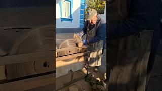 How to use a circular saw #shorts_video #shorts #short #shortvideo #shortsvideo