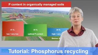 Tutorial: Phosphorus  recycling for organic agriculture (CORE Organic/Improve-P)