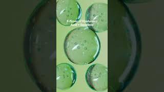 Achieve Plump & Glowing Skin | INNISFREE Green Tea Seed Hyaluronic Cream