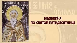 Хождение по водам и святой Максим Имповедник. Неделя 9-я по Св. Пятидесятнице 2024 г. Еп. Игнатий