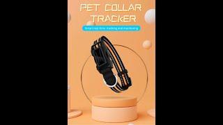 GPSolution - GPS Collar