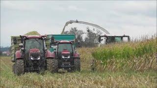 Mais häckseln 2024 Teil 3 Claas Jaguar 940 Case John Deere Conow - trocken nass windig alles dabei