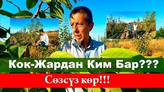 476Кочот Гилас Алдым…  Созсуз Коргулоо… Бак Сыры:+996555887633