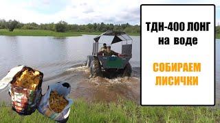 #ТДН 400 ЛОНГ НА ВОДЕ. СОБИРАЕМ #ЛИСИЧКИ. #ДЕНЬГИ НА ГРИБАХ.