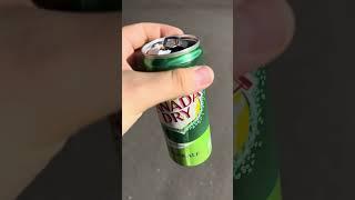 Canada Dry