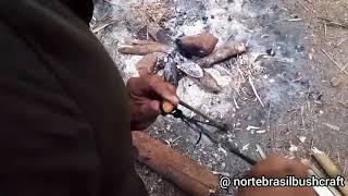 Vivência Bushcraft Amazônia Brasileira.