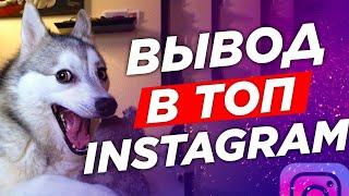 Вывод в ТОП Инстаграм, ЛАЙФХАК Как Попасть в ТОП Instagram Быстро, 100% Новый Способ 2020