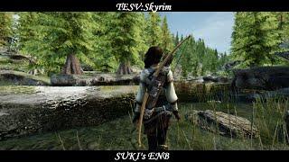 TESV: Skyrim - Suki's ENB (NLA Version)