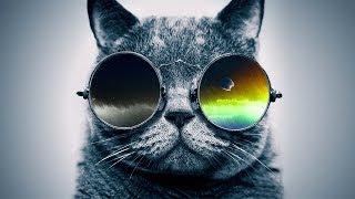 Funky Rap / Hip-Hop Instrumental | Jazzy Guitar Beat "Cool Catz" | Prod. by Syko