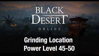 Black Desert Online  Power Level Location 45-50  Mansha Forest