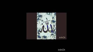 mdina ki kiran guys allahu akbar guys ️ please like subscribe