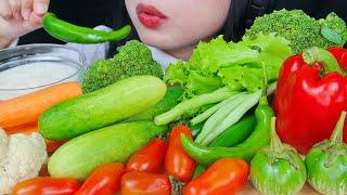 RAW VEGGIE PLATTER ASMR BELL PEPPER, CUCUMBER, EGGPLANT, GREEN CHILI, TOMATO, BROCCOLI, CAULIFLOWER