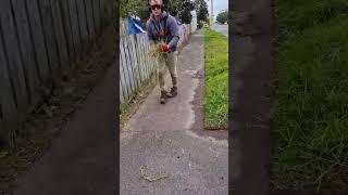 driveway and sidewalk clean up! #lawns #lawnmowing #satisfying #lawncare #mowing #freemowing #free