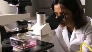 School of Pharmacy and Pharmaceutical Sciences