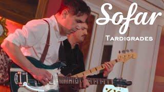 Tardigrades - Dream Surfer | Sofar Ankara