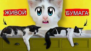 КОТ МАЛЫШ из БУМАГИ! КАК СДЕЛАТЬ 3Д КОТА САМОДЕЛКУ СВОИМИ РУКАМИ