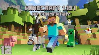 Minecraft 1.18.1 Survival (No Commentary) #12