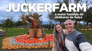 FAZENDA NA SUÍÇA: repetimos o passeio na exposição de ABÓBORAS da Juckerfarm!