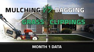 Should You Bag or Mulch Grass Clippings? First Months Data