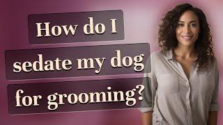 How do I sedate my dog for grooming?