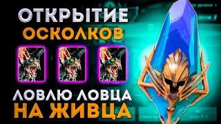 Ловец Ловец Ловец | Открытие Осколков под х10 |  Raid: Shadow Legends | Элви