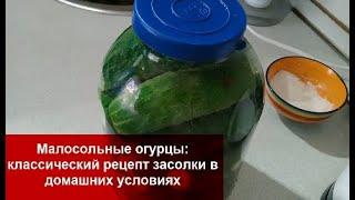 ХРУСТЯЩИЕ Малосольные ОГУРЦЫ классический РЕЦЕПТ засолки в домашних условиях Домашняя Кухня СССР