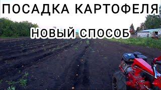 ПОСАДКА КАРТОШКИ