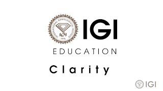 Diamond Clarity Explained | Gemstone Education | International Gemological Institute (IGI)