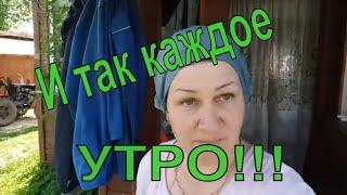 Объявили Жару!! Санька косит! Я на хозяйстве, кормление животных!