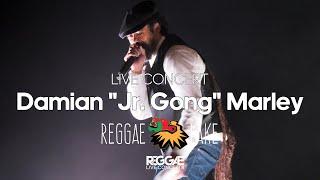 Damian Jr  Gong Marley Live at Reggae Lake Festival Amsterdam 2024