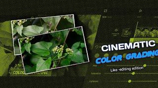 CINEMATIC COLOR GRADING IN CAPCUT | CAPCUT EFFORT  COLOR CORRECTION |  GOTHARU EDITING