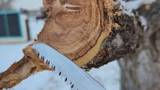 Pruning Large Branches (The Three Cut Method)