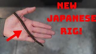 First Look At The New Japanese Finesse Rig! The Inu Rig!