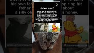 The real Winnie the Pooh was inspired by a Canadian soldier’s pet bear #shorts #facts