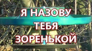 Я НАЗОВУ ТЕБЯ ЗОРЕНЬКОЙ- КАРАОКЕ ПОД БАЯН - Проснись и пой !