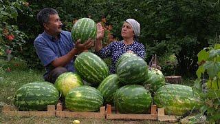 Canning Watermelon Juice For The Winter