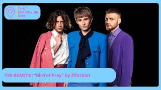 TES Reaction Video: Ziferblat - "Bird of Pray" (Ukraine 2025) - That Eurovision Site