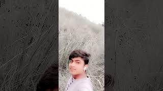 zsw