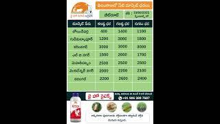 Today Market Prices of Beetroot & Carrot in Telangana | jhk market rate updates |   @JaiHoKisan