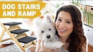 Westies Leg Issues! Why I Got Sami DOG STAIRS AND RAMP For The Bedroom [REVIEW]