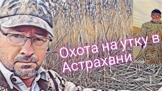 Охота на утку. Сентябрь. Раскаты. 23.09.23.