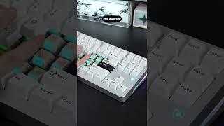 PMO's latest keyboard Aurora80#keyboard #desksetup #Aurora80#PMO