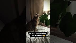 Kira's spa day 