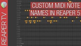 Naming Midi Drum Maps in Reaper DAW