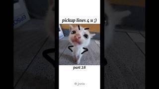 pickup lines 4 u ;) | part 28! #shortsfeed #tiktok #rizz #pickuplines #shorts #funny