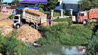 Good project with nice skill bulldozer operator pushing soil with dump trucks