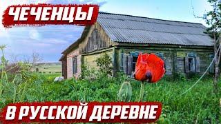 Приключение чеченцев в России! | Оренбургская обл, Бугурусланский район, д.Красная Глинка | Чечня