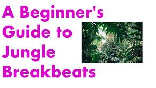 A Beginner's Guide to Jungle Breakbeats